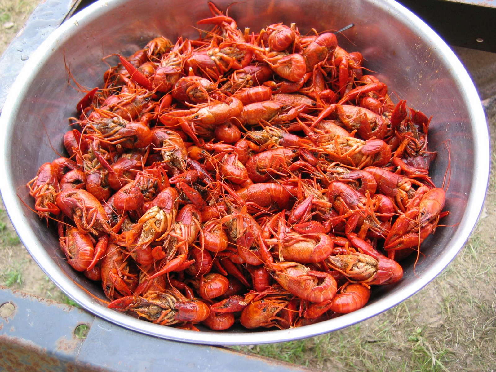 Are You Searching for Crawfish in Lafayette, LA?